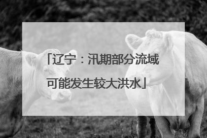 辽宁：汛期部分流域可能发生较大洪水