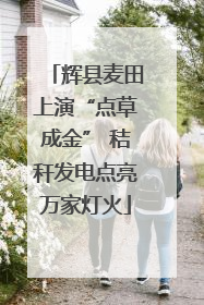 辉县麦田上演“点草成金” 秸秆发电点亮万家灯火