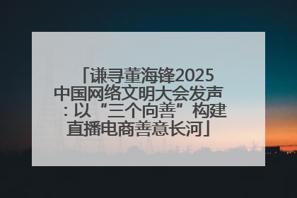 谦寻董海锋2025中国网络文明大会发声：以“三个向善”构建直播电商善意长河