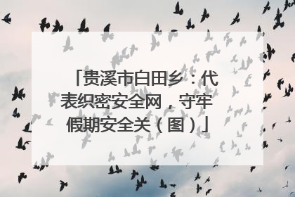 贵溪市白田乡：代表织密安全网，守牢假期安全关（图）