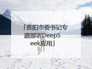 贵阳市委书记专题部署DeepSeek应用