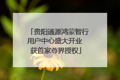 贵阳通源鸿蒙智行用户中心盛大开业 获首家尊界授权