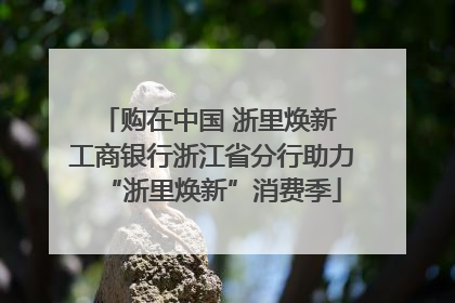 购在中国 浙里焕新 工商银行浙江省分行助力“浙里焕新”消费季