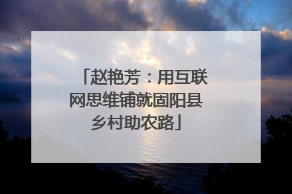 赵艳芳：用互联网思维铺就固阳县乡村助农路