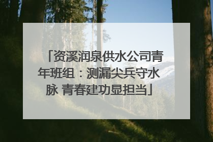 资溪润泉供水公司青年班组：测漏尖兵守水脉 青春建功显担当