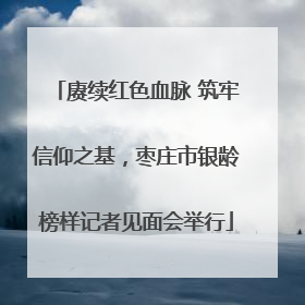 赓续红色血脉 筑牢信仰之基，枣庄市银龄榜样记者见面会举行