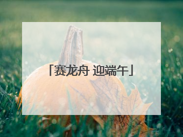 赛龙舟 迎端午