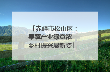 赤峰市松山区：果蔬产业绿意浓 乡村振兴展新姿