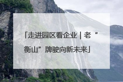 走进园区看企业｜老“衡山”牌驶向新未来