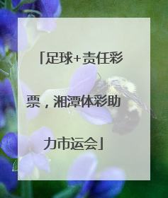 足球+责任彩票，湘潭体彩助力市运会