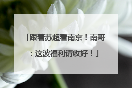 跟着苏超看南京！南哥：这波福利请收好！