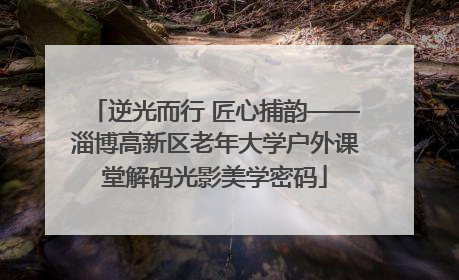 逆光而行 匠心捕韵——淄博高新区老年大学户外课堂解码光影美学密码