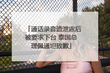 通话录音遭泄露后被要求下台 泰国总理佩通坦致歉