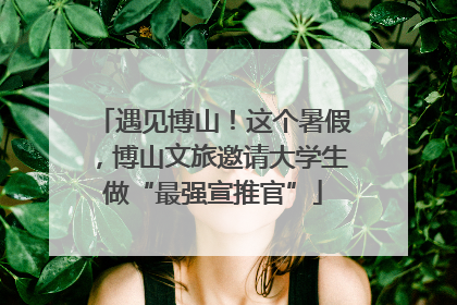 遇见博山！这个暑假，博山文旅邀请大学生做“最强宣推官”