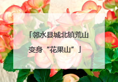 邻水县城北镇荒山变身“花果山”
