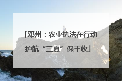 邓州：农业执法在行动 护航“三夏”保丰收