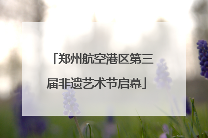 郑州航空港区第三届非遗艺术节启幕