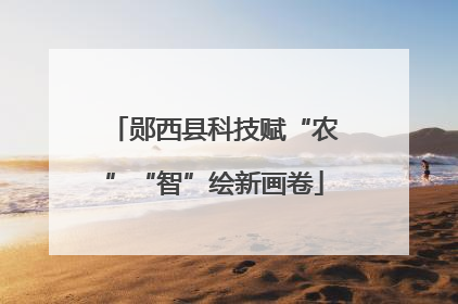 郧西县科技赋“农”“智”绘新画卷