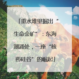 重水堆里掘出“生命金矿”：东海潮涌处，一座“核药硅谷”的崛起