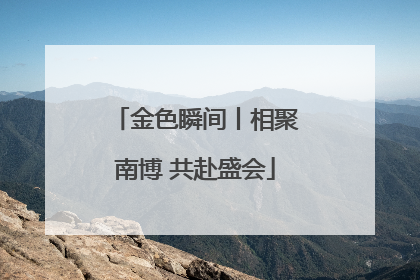 金色瞬间丨相聚南博 共赴盛会