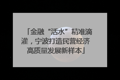 金融“活水”精准滴灌，宁波打造民营经济高质量发展新样本