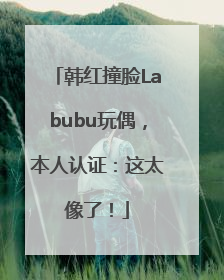 韩红撞脸Labubu玩偶，本人认证：这太像了！