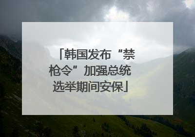 韩国发布“禁枪令”加强总统选举期间安保