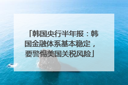韩国央行半年报：韩国金融体系基本稳定，要警惕美国关税风险