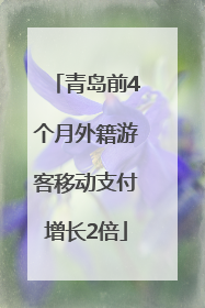青岛前4个月外籍游客移动支付增长2倍