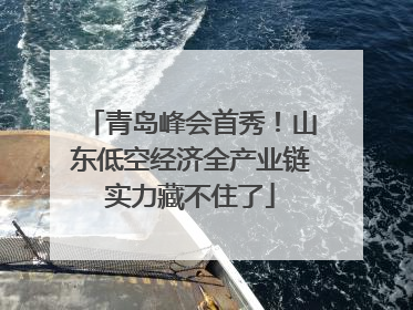 青岛峰会首秀！山东低空经济全产业链实力藏不住了