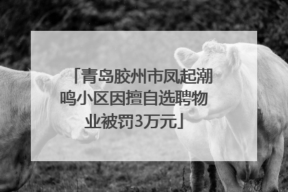 青岛胶州市凤起潮鸣小区因擅自选聘物业被罚3万元