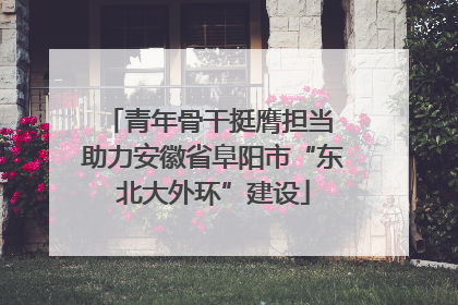青年骨干挺膺担当 助力安徽省阜阳市“东北大外环”建设