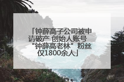 钟薛高子公司被申请破产 创始人账号“钟薛高老林”粉丝仅1800余人