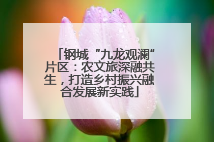 钢城“九龙观澜”片区：农文旅深融共生，打造乡村振兴融合发展新实践