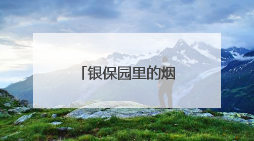 银保园里的烟火气，让职场生活有滋有味