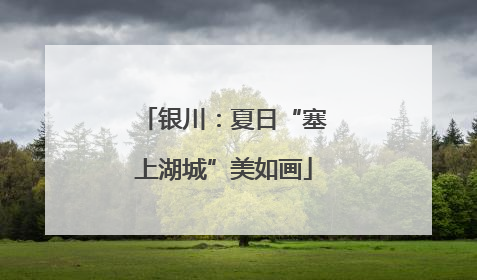 银川：夏日“塞上湖城”美如画