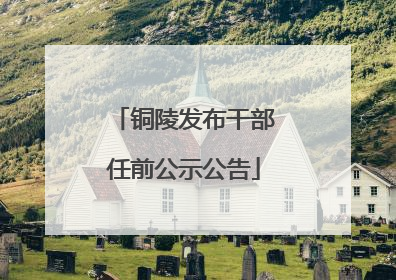 铜陵发布干部任前公示公告