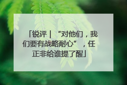 锐评｜“对他们，我们要有战略耐心”，任正非给谁提了醒
