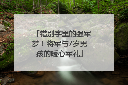 错别字里的强军梦！将军与7岁男孩的暖心军礼