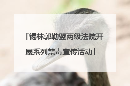 锡林郭勒盟两级法院开展系列禁毒宣传活动