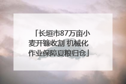 长垣市87万亩小麦开镰收割 机械化作业保障夏粮归仓