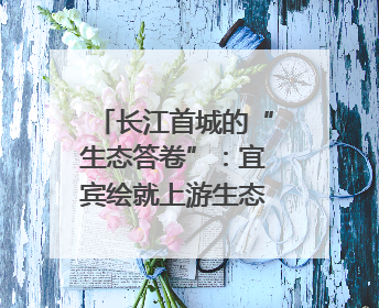 长江首城的“生态答卷”：宜宾绘就上游生态屏障新图景｜中华环保世纪行