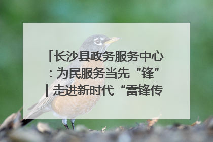 长沙县政务服务中心：为民服务当先“锋”｜走进新时代“雷锋传人 长沙榜样”