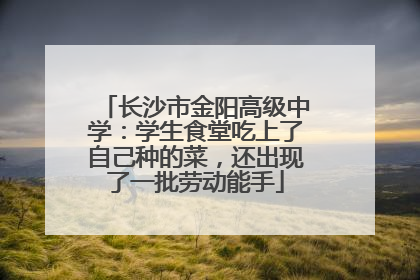 长沙市金阳高级中学：学生食堂吃上了自己种的菜，还出现了一批劳动能手