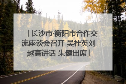 长沙市·衡阳市合作交流座谈会召开 吴桂英刘越高讲话 朱健出席