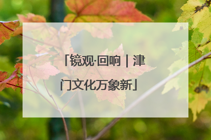 镜观·回响｜津门文化万象新