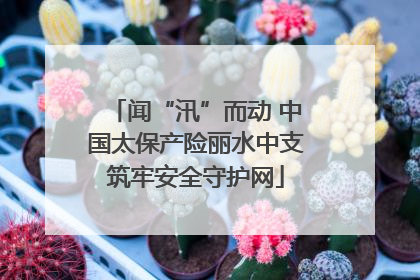 闻“汛”而动 中国太保产险丽水中支筑牢安全守护网