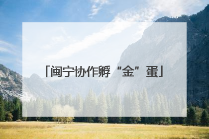 闽宁协作孵“金”蛋