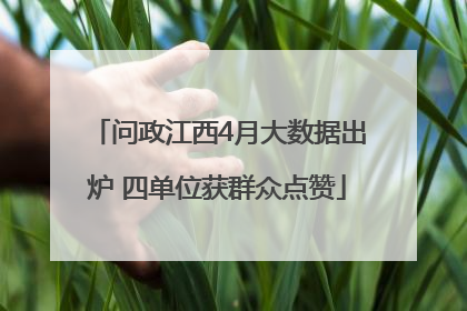 问政江西4月大数据出炉 四单位获群众点赞