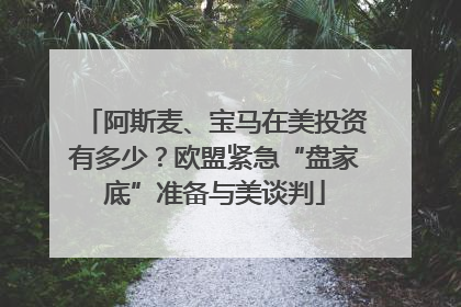 阿斯麦、宝马在美投资有多少？欧盟紧急“盘家底”准备与美谈判